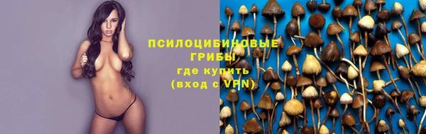 шишки Баксан