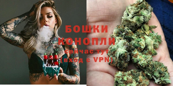 шишки Баксан