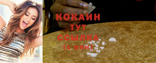 шишки Баксан