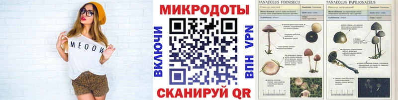 Псилоцибиновые грибы Psilocybine cubensis где найти наркотики Белоозёрский